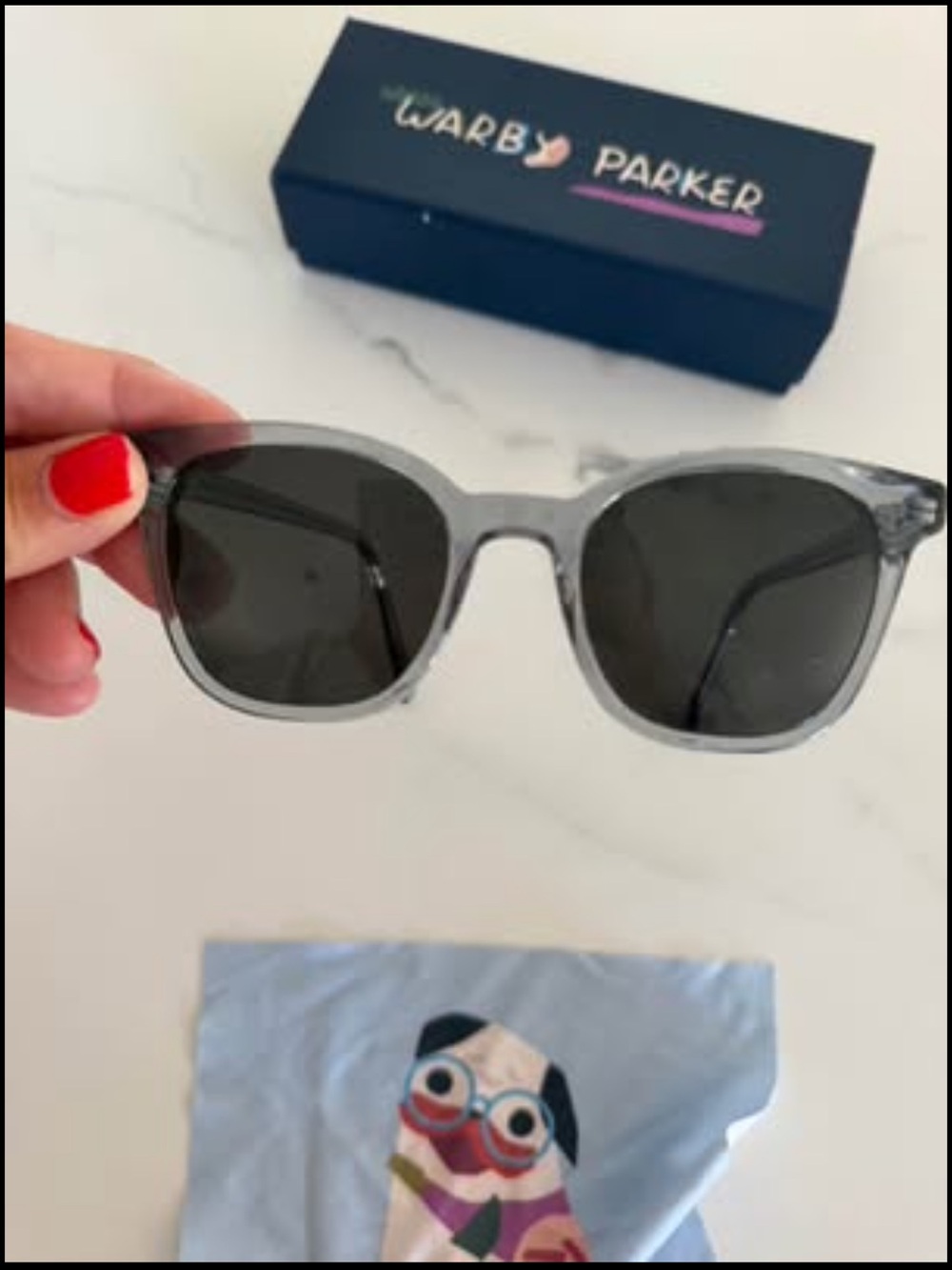 Warby Parker Transparent Gray Frame Sunglasses with Dark Lenses unisex